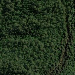 Satellite imagery of Mount Cripps, AU