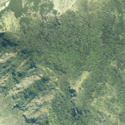 Satellite imagery of Cape Palliser (Matakitakiakupe), NZ