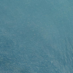 Satellite imagery of Rocky Point, NZ