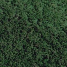 Satellite imagery of Cerro el Campanario, CL