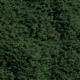 Satellite imagery of Mount Charter, AU