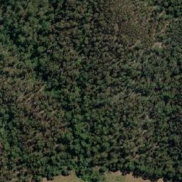 Satellite imagery of Bald Hill, AU
