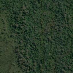 Satellite imagery of Wilsons Point, AU