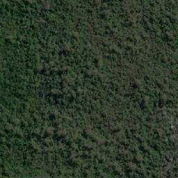 Satellite imagery of Wilsons Point, AU