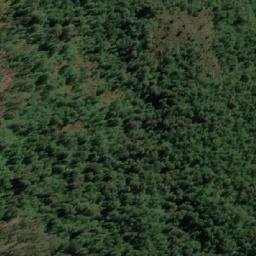 Satellite imagery of Romulus Pup, AU