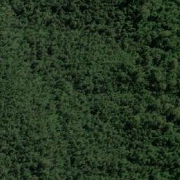 Satellite imagery of Romulus Pup, AU