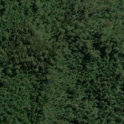 Satellite imagery of Romulus Pup, AU