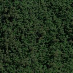Satellite imagery of Romulus Pup, AU