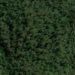 Satellite imagery of Romulus Pup, AU
