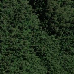 Satellite imagery of Romulus Pup, AU