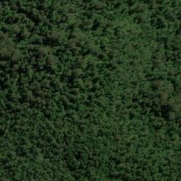 Satellite imagery of Romulus Pup, AU