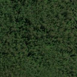Satellite imagery of Romulus Pup, AU