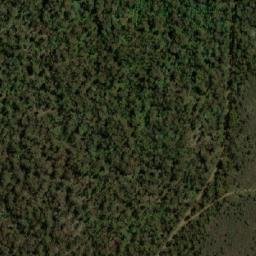 Satellite imagery of Dogwood Hill, AU