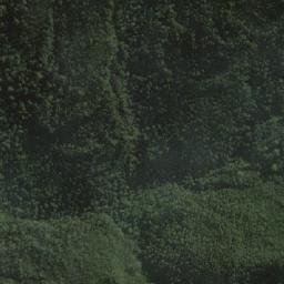 Satellite imagery of Mount Livingstone, AU
