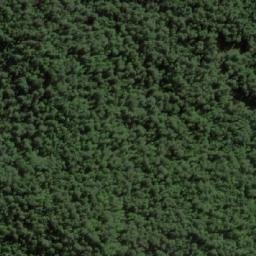 Satellite imagery of Mount Lindsay, AU