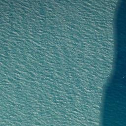 Satellite imagery of Mussel Point, NZ