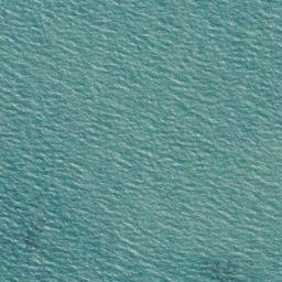 Satellite imagery of Mussel Point, NZ