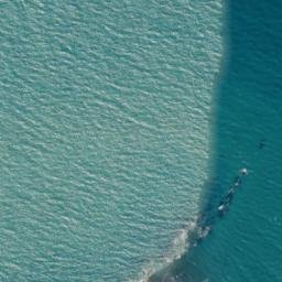 Satellite imagery of Mussel Point, NZ