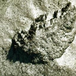 Satellite imagery of Barn Bluff, AU