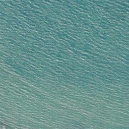 Satellite imagery of Mussel Point, NZ