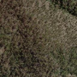 Satellite imagery of Castle Cary, AU