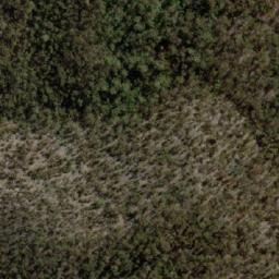 Satellite imagery of Castle Cary, AU