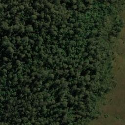 Satellite imagery of Mount Farrell, AU