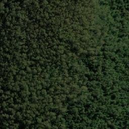 Satellite imagery of Bald Hill, AU