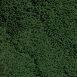 Satellite imagery of Bald Hill, AU