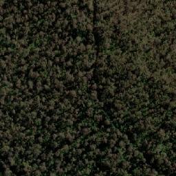 Satellite imagery of Clumner Bluff, AU