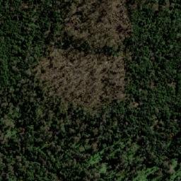 Satellite imagery of Clumner Bluff, AU