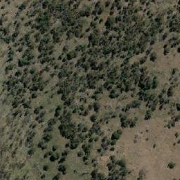 Satellite imagery of Dead Cows Hill, AU