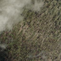 Satellite imagery of Dead Cows Hill, AU