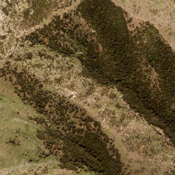 Satellite imagery of Lookout Bluff, NZ