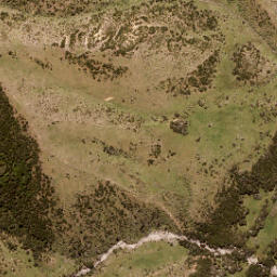 Satellite imagery of Lookout Bluff, NZ