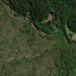 Satellite imagery of Caves Bluff, NZ