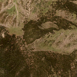 Satellite imagery of Lookout Bluff, NZ