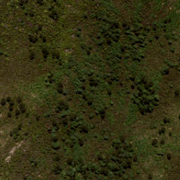 Satellite imagery of Tommys Bluff, NZ