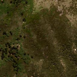 Satellite imagery of Tommys Bluff, NZ
