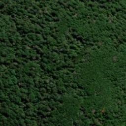 Satellite imagery of Pine Hill, AU