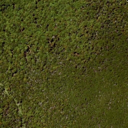 Satellite imagery of Parachute Rocks, NZ