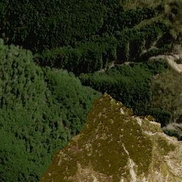 Satellite imagery of Parachute Rocks, NZ
