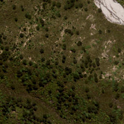 Satellite imagery of Tommys Bluff, NZ