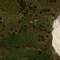 Satellite imagery of Tommys Bluff, NZ