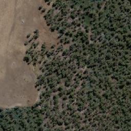 Satellite imagery of Roys Hill, AU