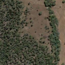 Satellite imagery of Roys Hill, AU
