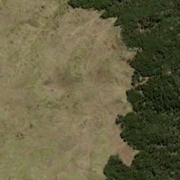 Satellite imagery of Prospect Ridge, NZ