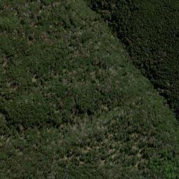 Satellite imagery of Prospect Ridge, NZ