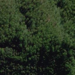 Satellite imagery of Black Hill, AU