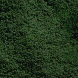 Satellite imagery of Carbine Hill, AU